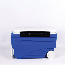 IcePeak CoolCraft Tekerlekli Buzluk 36 Litre - Icepeak