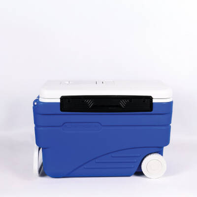 IcePeak CoolCraft Tekerlekli Buzluk 36 Litre - 1