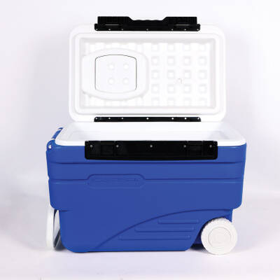 IcePeak CoolCraft Tekerlekli Buzluk 36 Litre - 2
