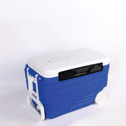 IcePeak CoolCraft Tekerlekli Buzluk 36 Litre - 3