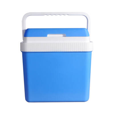 Icepeak SF26 Taşıma Çantası Buzluk 26 Litre - 1