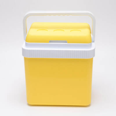 Icepeak SF26 Taşıma Çantası Buzluk 26 Litre-SARI - 1