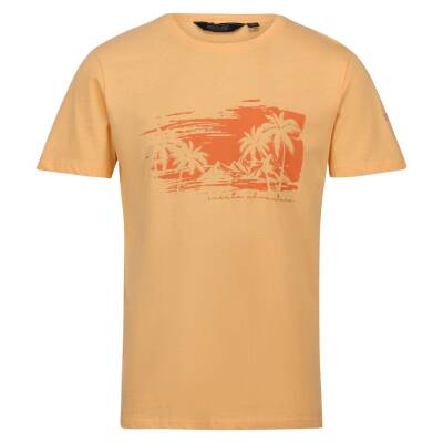 Regatta Cline VII Erkek T-Shirt-TURUNCU - 1