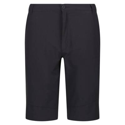 Regatta Highton ShortLong Erkek Şort-GRİ - 1