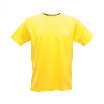 Regatta Kendrik Erkek T-Shirt-SARI - 1
