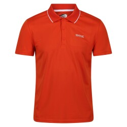 Regatta Maverik V Polo Yaka Erkek T-Shirt-TURUNCU - Regatta
