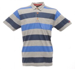 Regatta Quietstorm Polo Yaka Erkek T-Shirt-GRİ - Regatta